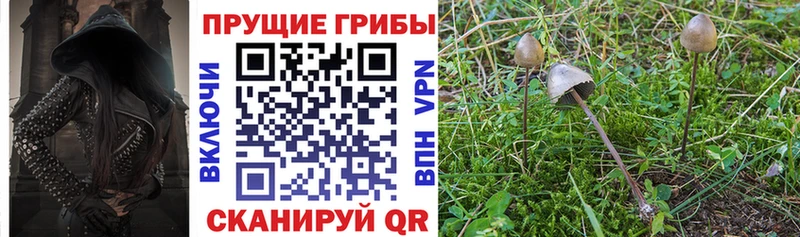 Псилоцибиновые грибы Magic Shrooms  купить наркоту  Александров 